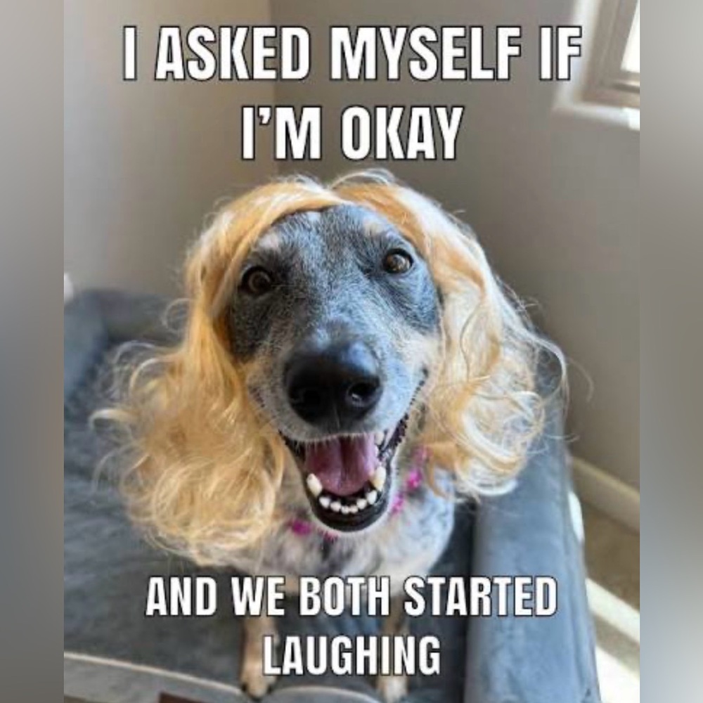 $5 Unlisted items - live show 3/21/26